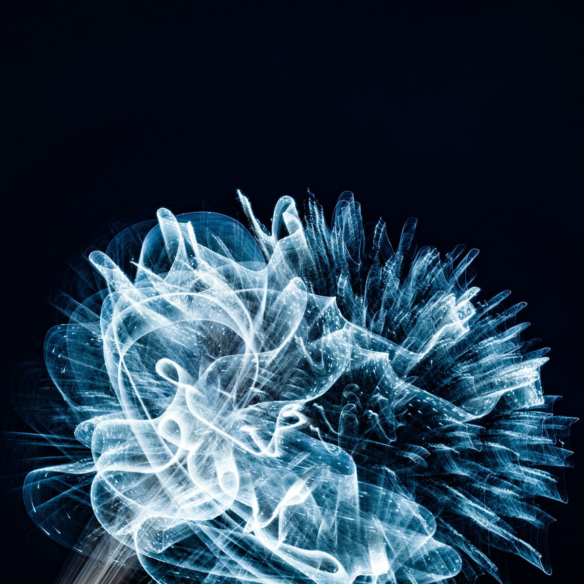 What Does Aquí Mean in Spanish: Microlearning for Instant Clarity